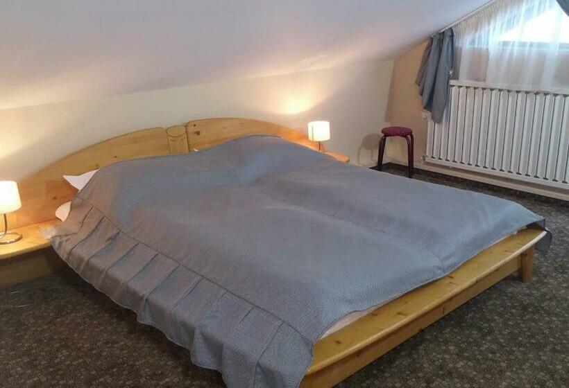 اتاق استاندارد, Pensiunea Casa Tepes