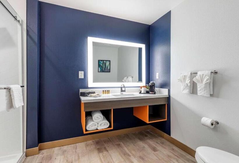 اتاق استاندارد با تخت بزرگ, Best Western Plus Amarillo East