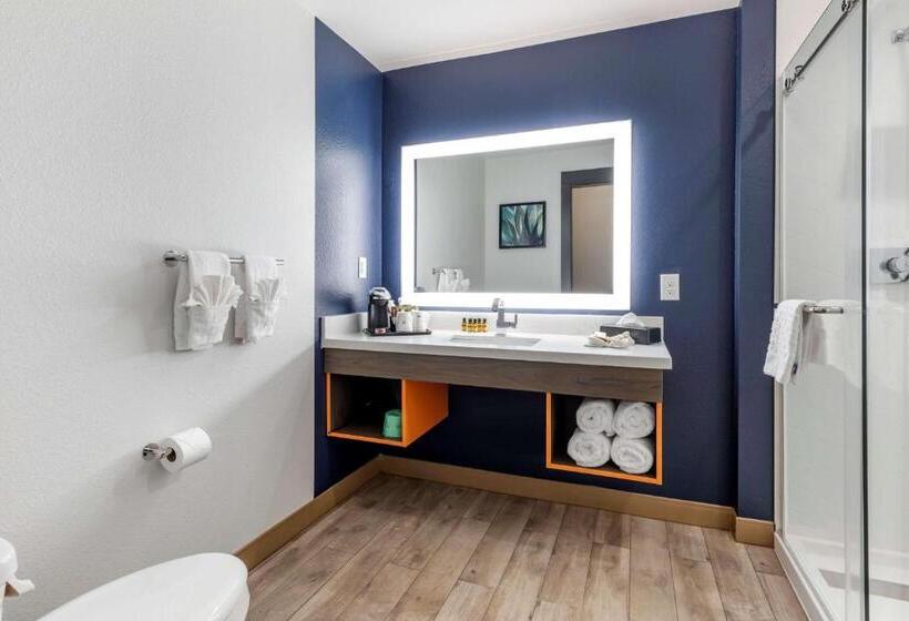 اتاق استاندارد با تخت دو نفره بزرگ برای معلولان, Best Western Plus Amarillo East