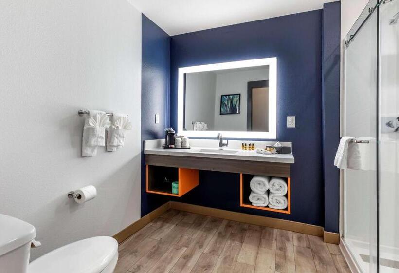 اتاق استاندارد با تخت دو نفره بزرگ برای معلولان, Best Western Plus Amarillo East