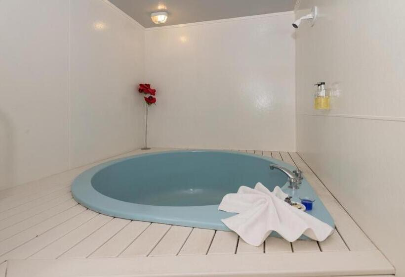استودیوی استاندارد, Palm Court Motor Inn