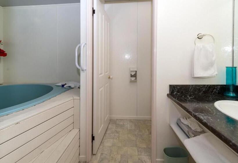 استودیوی استاندارد, Palm Court Motor Inn