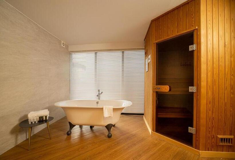 سوئیت با تخت بزرگ, Van Der Valk Hotel Beveren