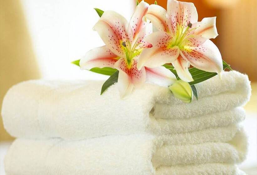 اتاق سوپریور چهار تخته, Bembo