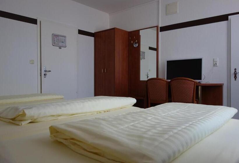 اتاق استاندارد سه نفره, Parkhotel Friedrichstrasse