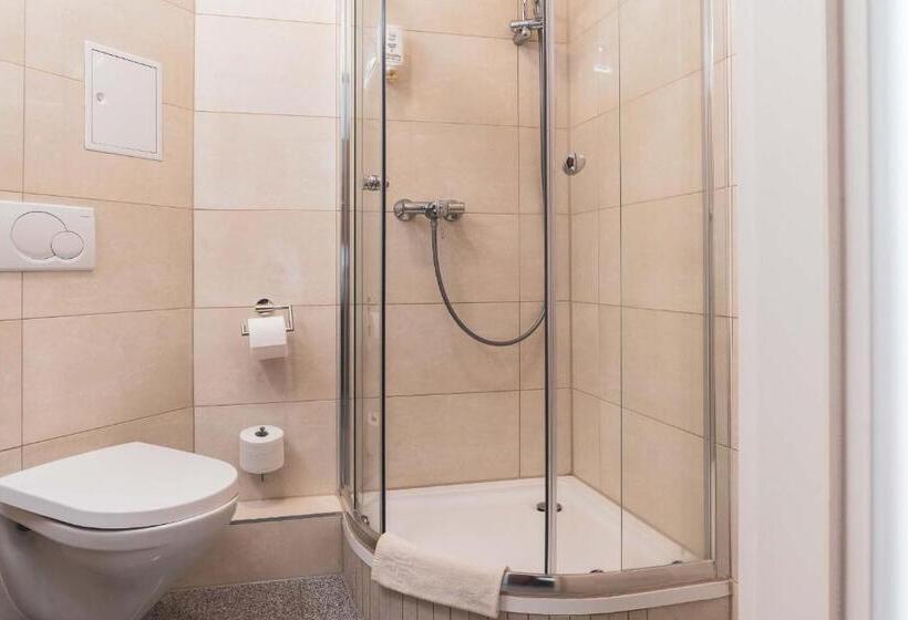 اتاق استاندارد یک نفره, Parkhotel Friedrichstrasse
