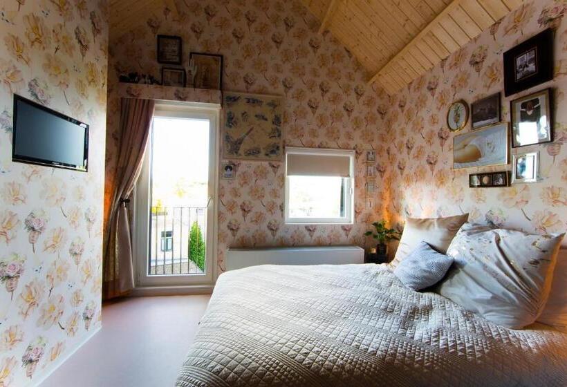اتاق عادی, Design Hotel Modez
