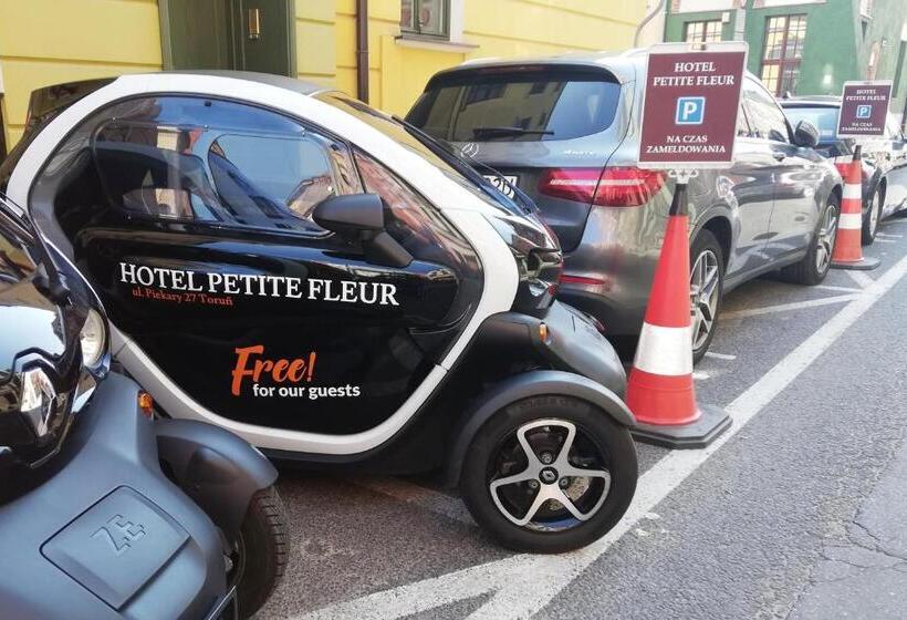 اتاق اکونومی, Petite Fleur   Adults Only ! Air Conditioning !