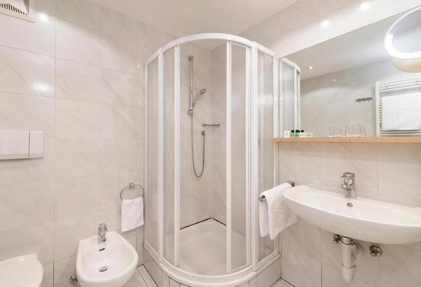اتاق راحتی یک تخته, Residence Hotel Gasser