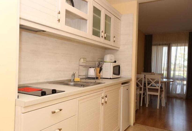 استودیو استاندارد با بالکن, Galeria Holiday Apartments