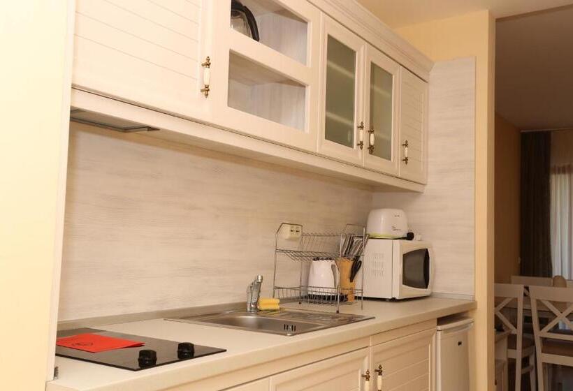 استودیو استاندارد با بالکن, Galeria Holiday Apartments