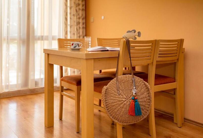 استودیو استاندارد با بالکن, Galeria Holiday Apartments