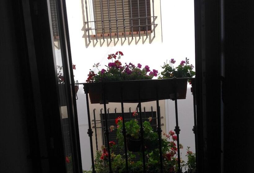 اتاق استاندارد, Boutique Alma Andalusí