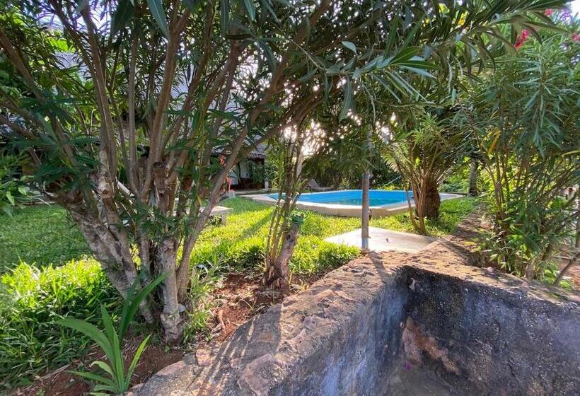 اتاق لوکس, Art Hotel Zanzibar