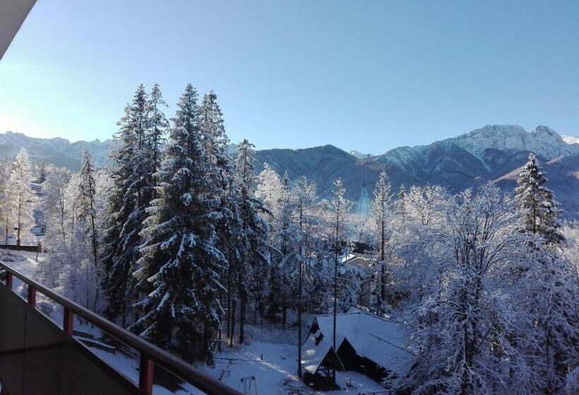 Chambre Standard, Geovita Zakopane