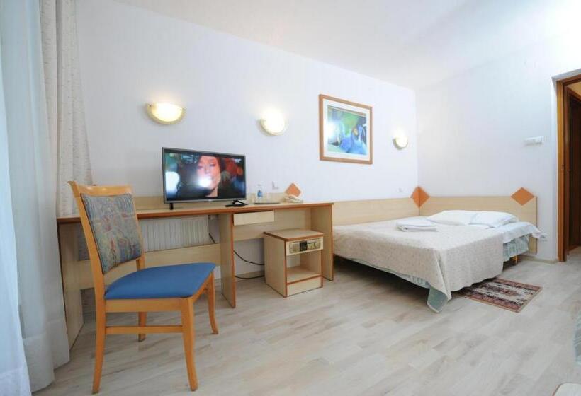 Standard Single Room, Geovita Zakopane