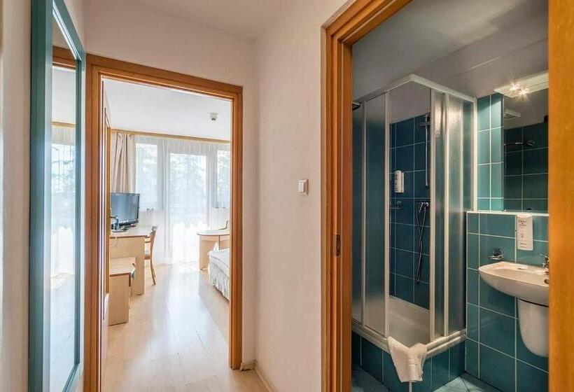 اتاق استاندارد یک نفره, Geovita Zakopane
