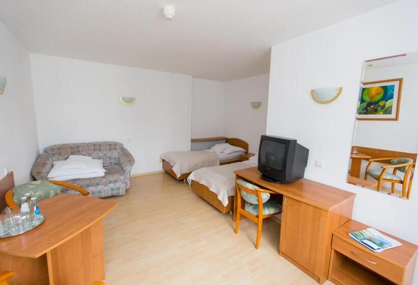 Economy Triple Room, Geovita Zakopane