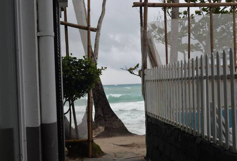 اتاق استاندارد, Grand Blue Beach