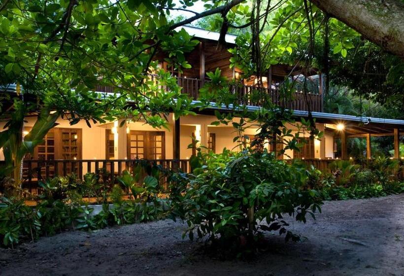 استودیوی استاندارد, Tropico Latino