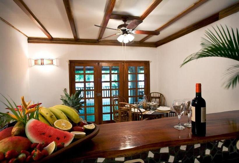 استودیوی استاندارد, Tropico Latino