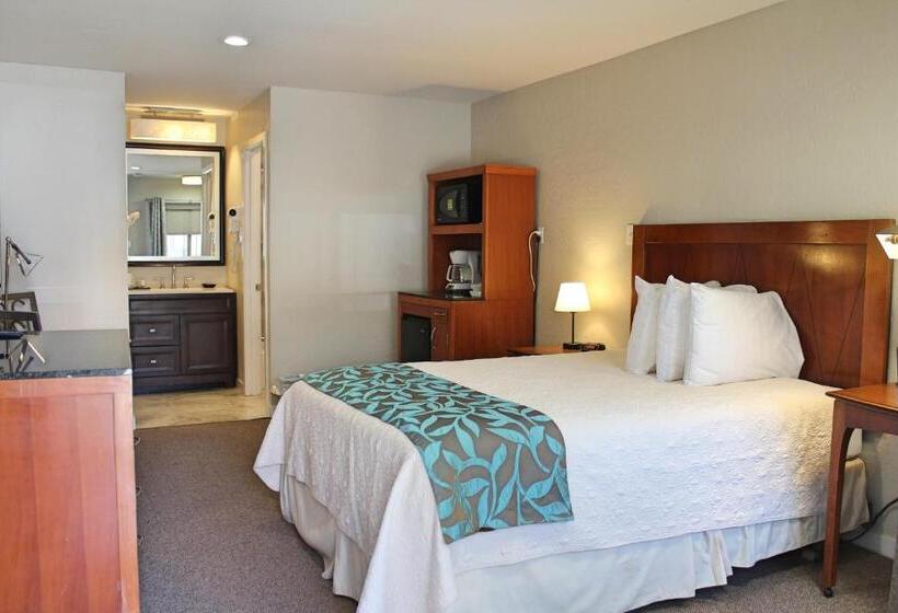 اتاق استاندارد, Bell & Main Alamosa Studio Suite Walking Distance To Downtown