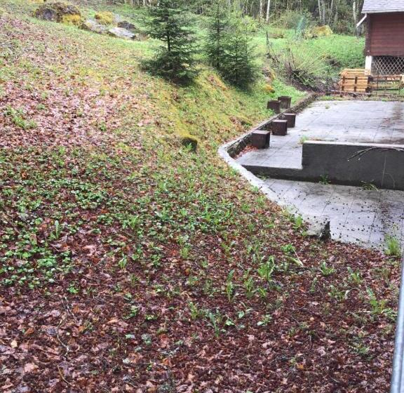 آپارتمان 1 خوابه با چشم‌انداز باغ, Le Refuge Apparts Et 1chalets A Samoens 74