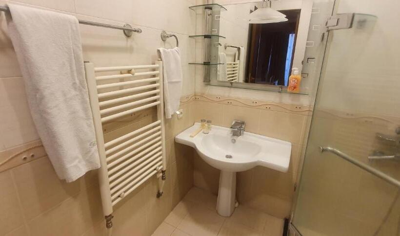 اتاق لوکس, Guest House Yerevan