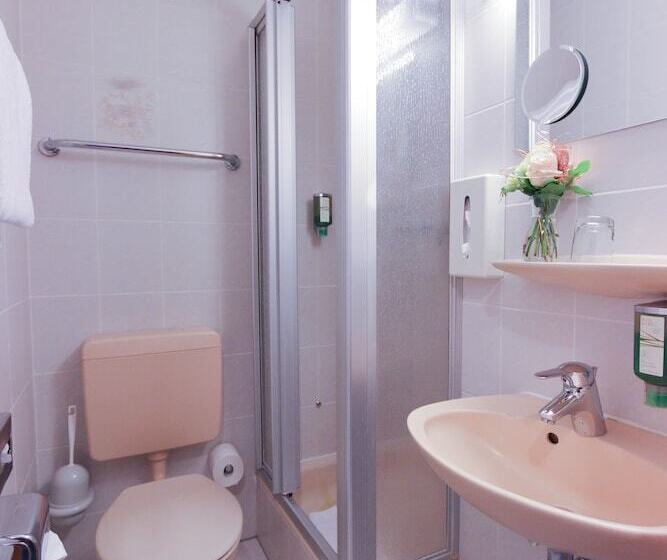 Номер Economy Индивидуальный, City Hotel Würzburg
