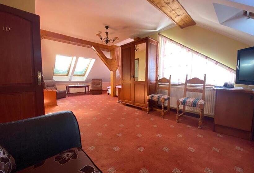 Standard Room, Pensiunea Crocus   Sauna & Billiard