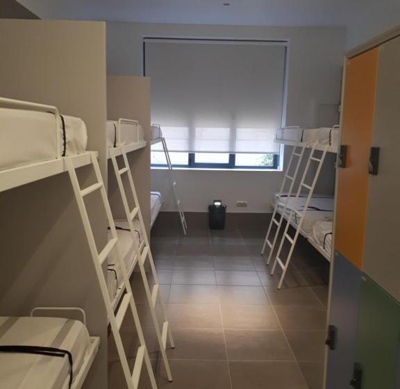 تختخواب در اتاق مشترک, The Book Factory Hostel