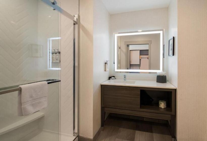 اتاق پرمیوم, Holiday Inn & Suites   Mt Juliet Nashville Area, An Ihg