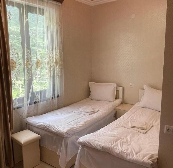 اتاق استاندارد سه نفره, Rafting House