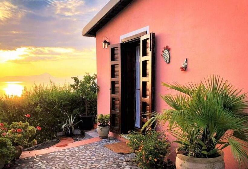 آپارتمان 1 خوابه, Agriturismo Nappi   Azienda Agricola Piano Delle Vigne