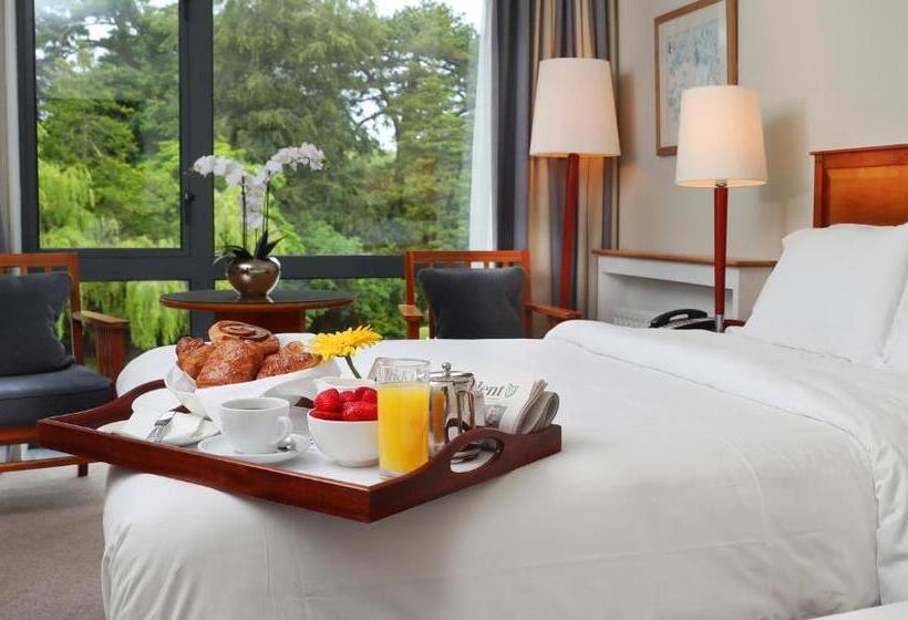 اتاق استاندارد, Ballymascanlon Hotel And Golf Resort