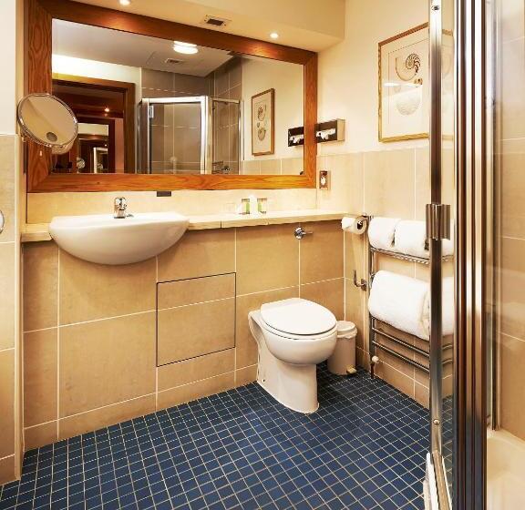 اتاق استاندارد سه نفره, Ballymascanlon Hotel And Golf Resort