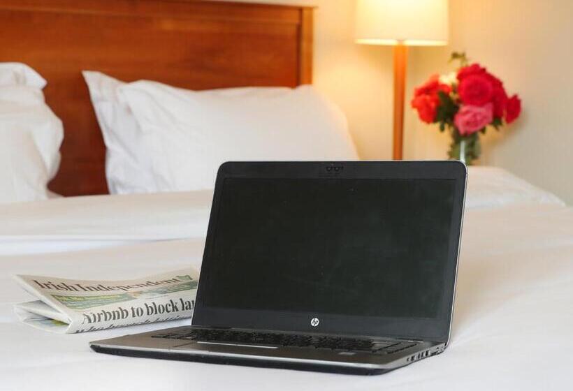 اتاق استاندارد یک نفره, Ballymascanlon Hotel And Golf Resort