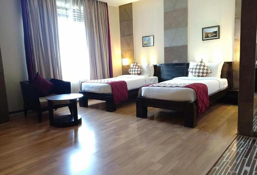 اتاق استاندارد برای معلولان, Ramada Ajmer