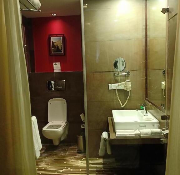 اتاق استاندارد برای معلولان, Ramada Ajmer
