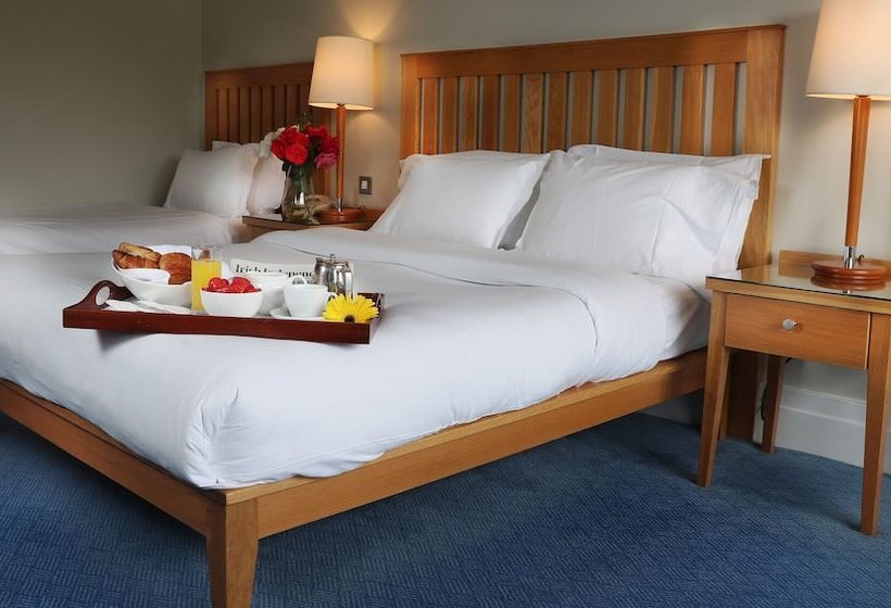 اتاق استاندارد یک نفره, Ballymascanlon Hotel And Golf Resort