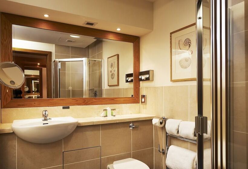 اتاق استاندارد سه نفره, Ballymascanlon Hotel And Golf Resort