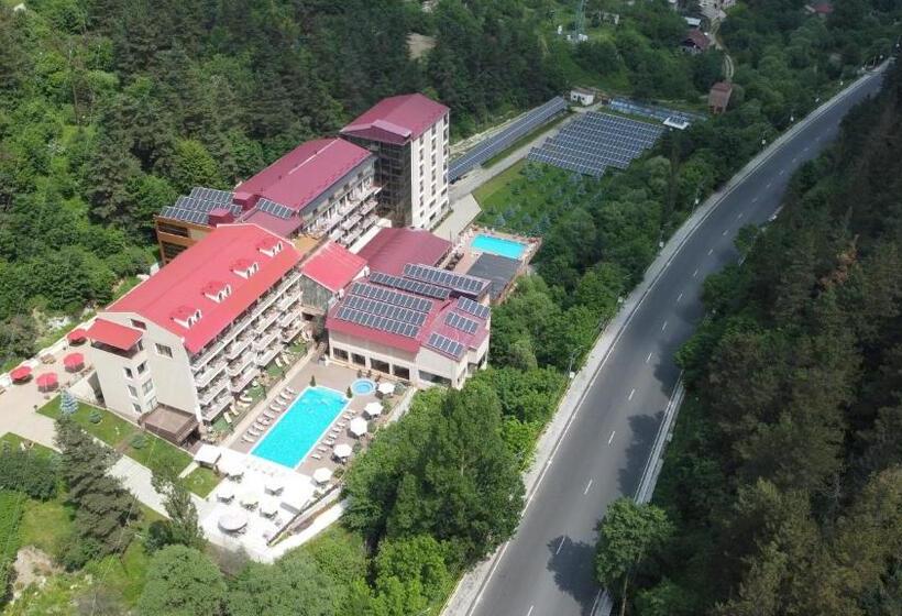 اتاق استاندارد, Best Western Plus Paradise Hotel Dilijan