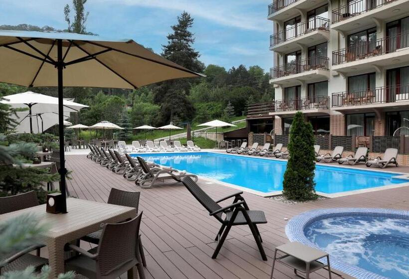 اتاق لوکس با تخت بزرگ, Best Western Plus Paradise Hotel Dilijan