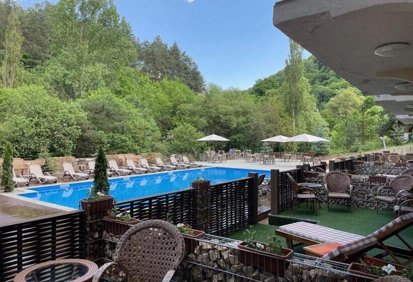 اتاق لوکس با تخت بزرگ, Best Western Plus Paradise Hotel Dilijan