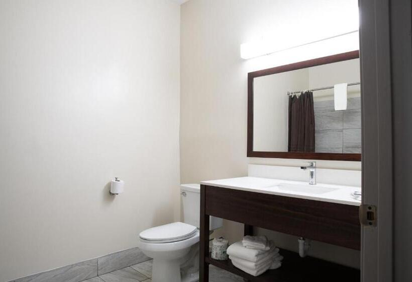 Standard Room Adapted for people with reduced mobility, Fairbridge Inn And Suites Marion