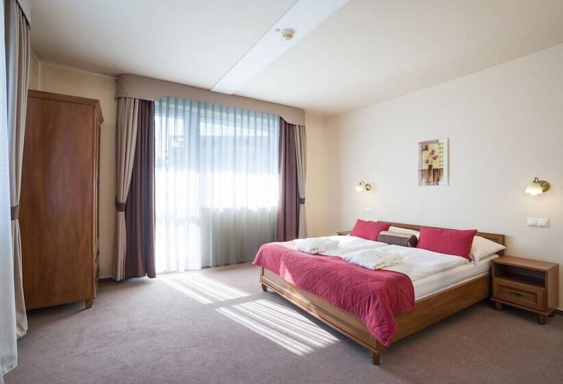 اتاق اجرایی, Dixon So Vstupom Do Bazéna A Vírivky Zdarma   Free Entrance To Pool And Jacuzzi Included