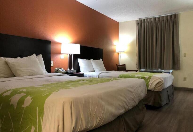 اتاق استاندارد با تخت بزرگ, Econo Lodge