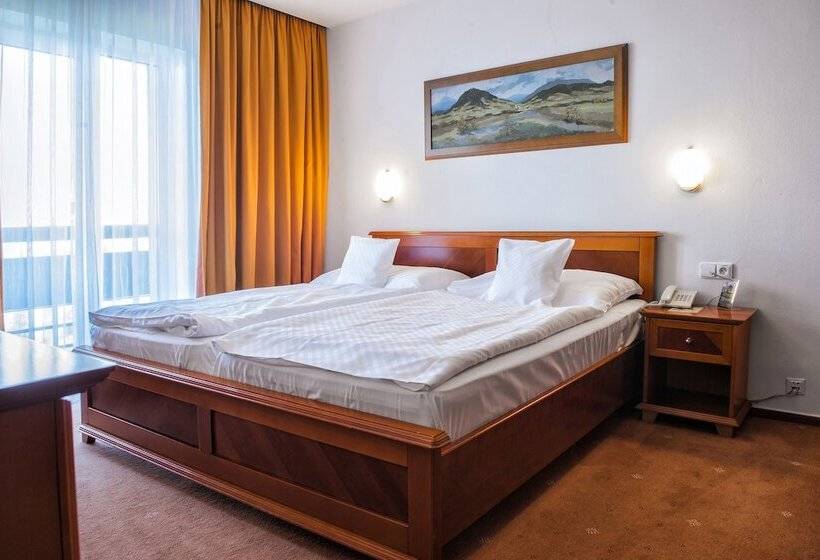 Standard Single Room, Patria