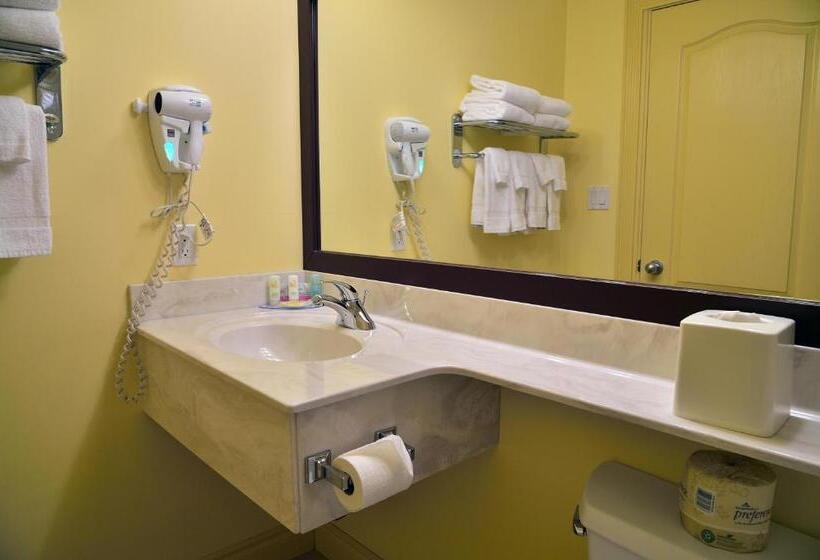 اتاق استاندارد با 2 تخت دوبل, Velora Hinton, Ascend Hotel Collection
