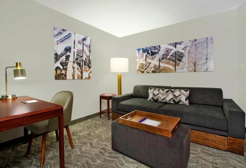استودیو ساده, Springhill Suites Chesapeake Greenbrier